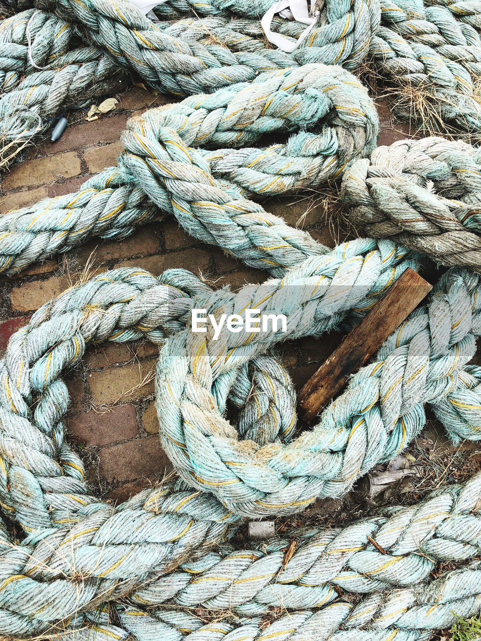 High angle view of rope on footpath