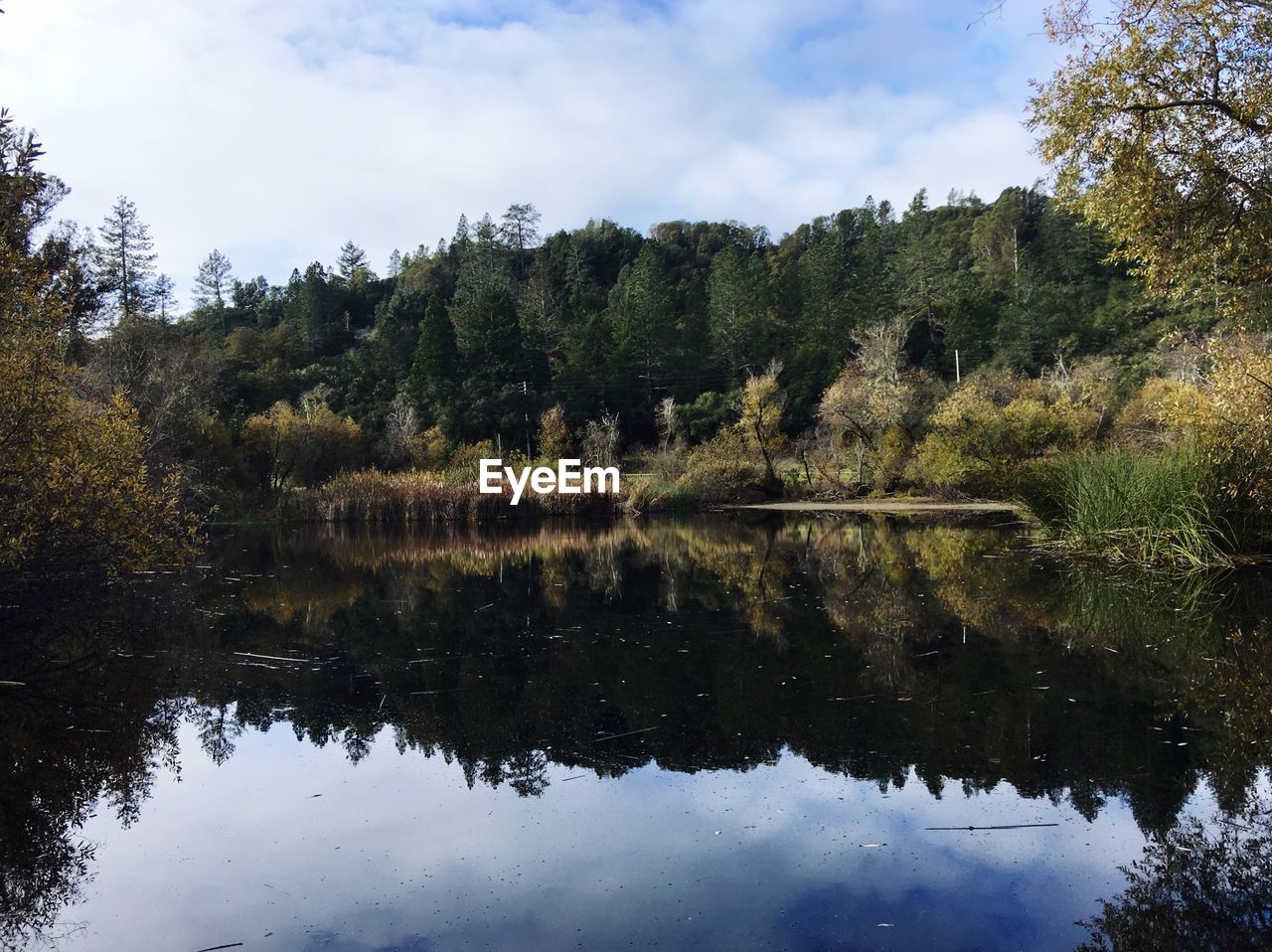 Reflection of trees in lake against sky