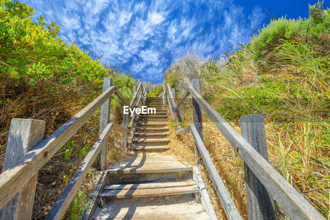 HIGH ANGLE VIEW OF STEPS AMIDST PLANTS AGAINST SKY