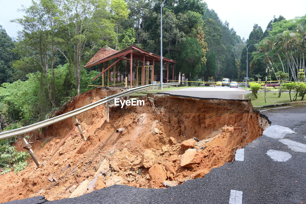 VIEW OF ROAD BY TREES