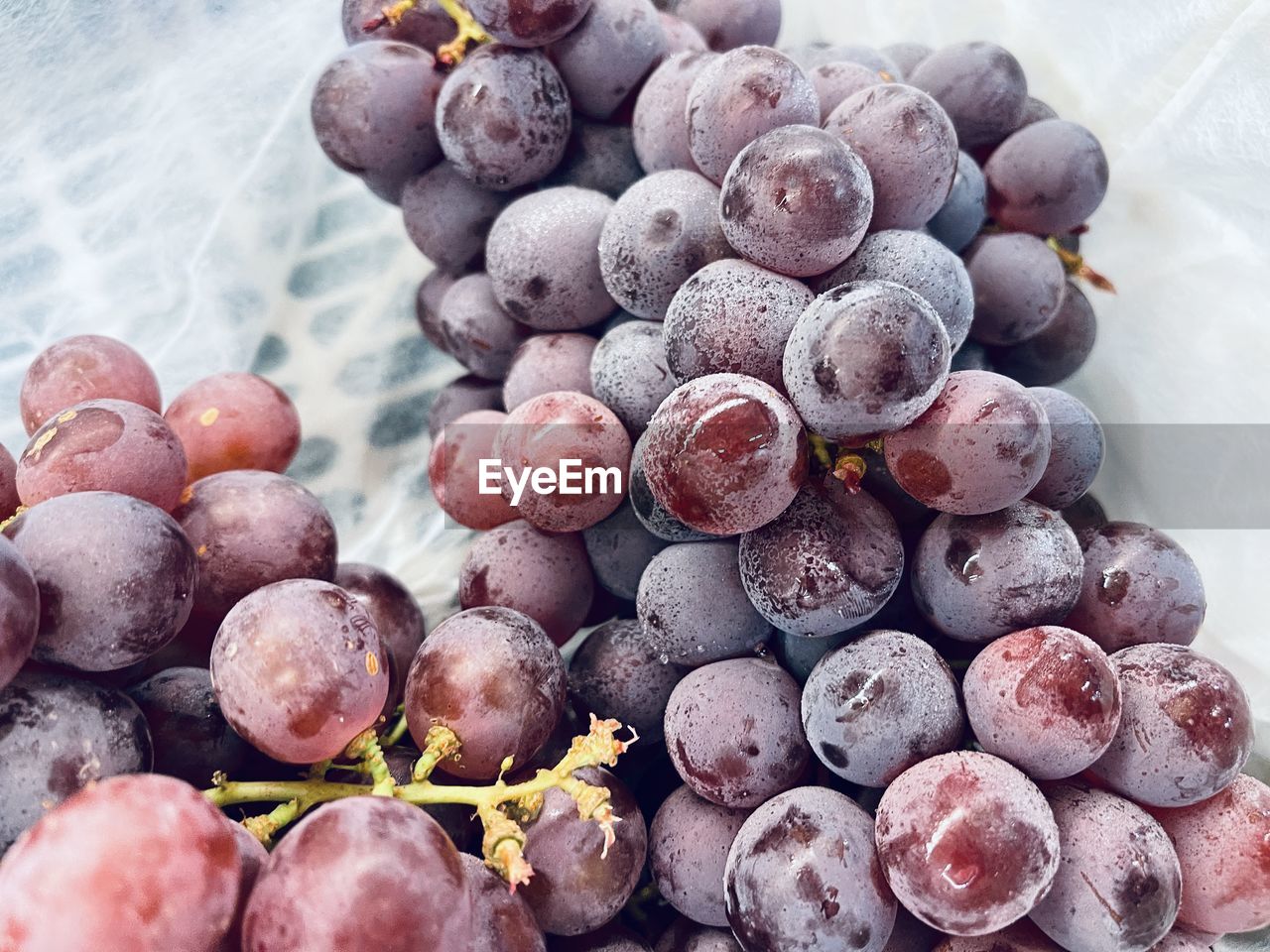 HIGH ANGLE VIEW OF GRAPES IN CONTAINER