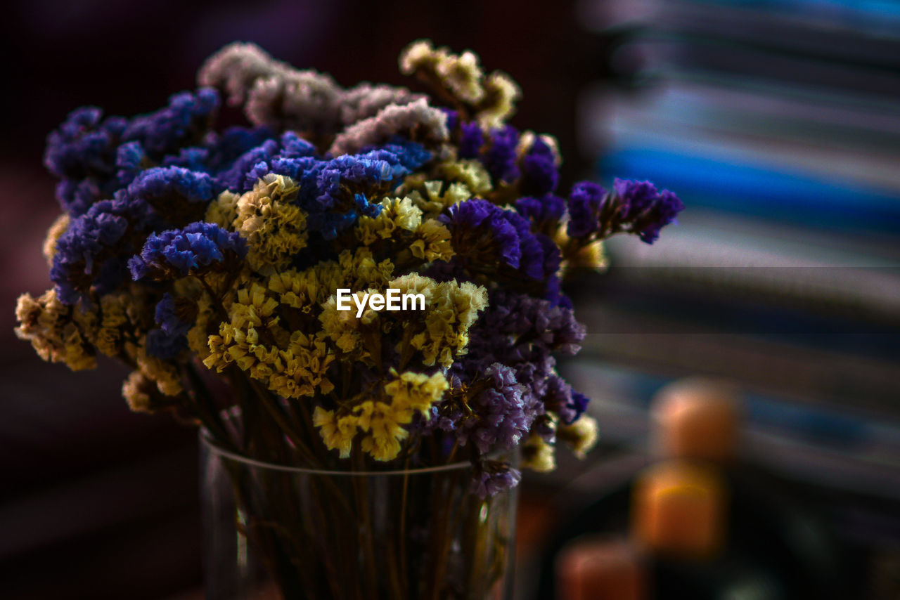 CLOSE-UP OF PURPLE FLOWERING PLANT