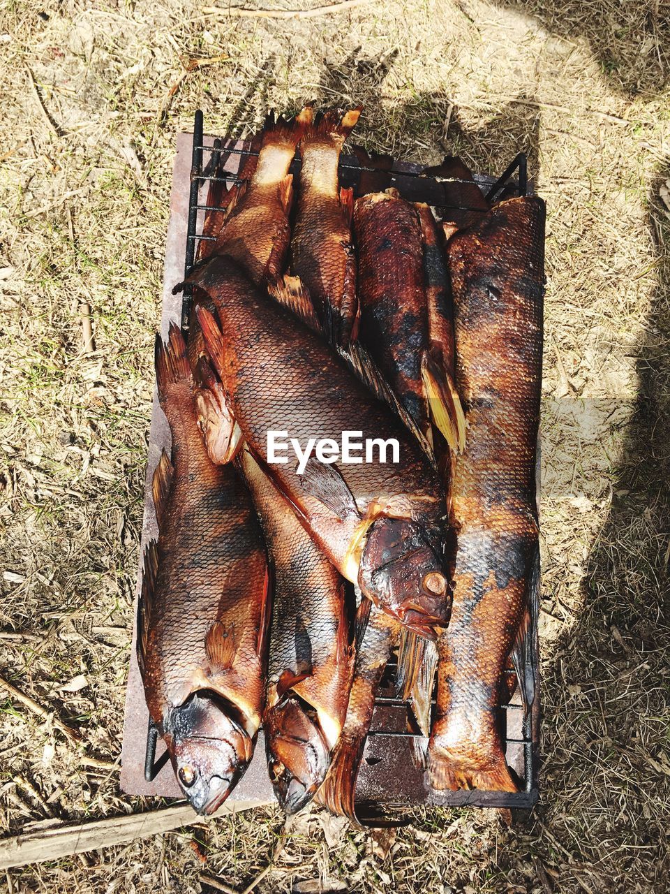 HIGH ANGLE VIEW OF DEAD FISH ON BARBECUE GRILL