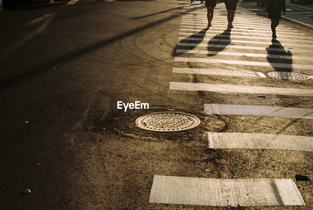 Low section of people walking on zebra crossing