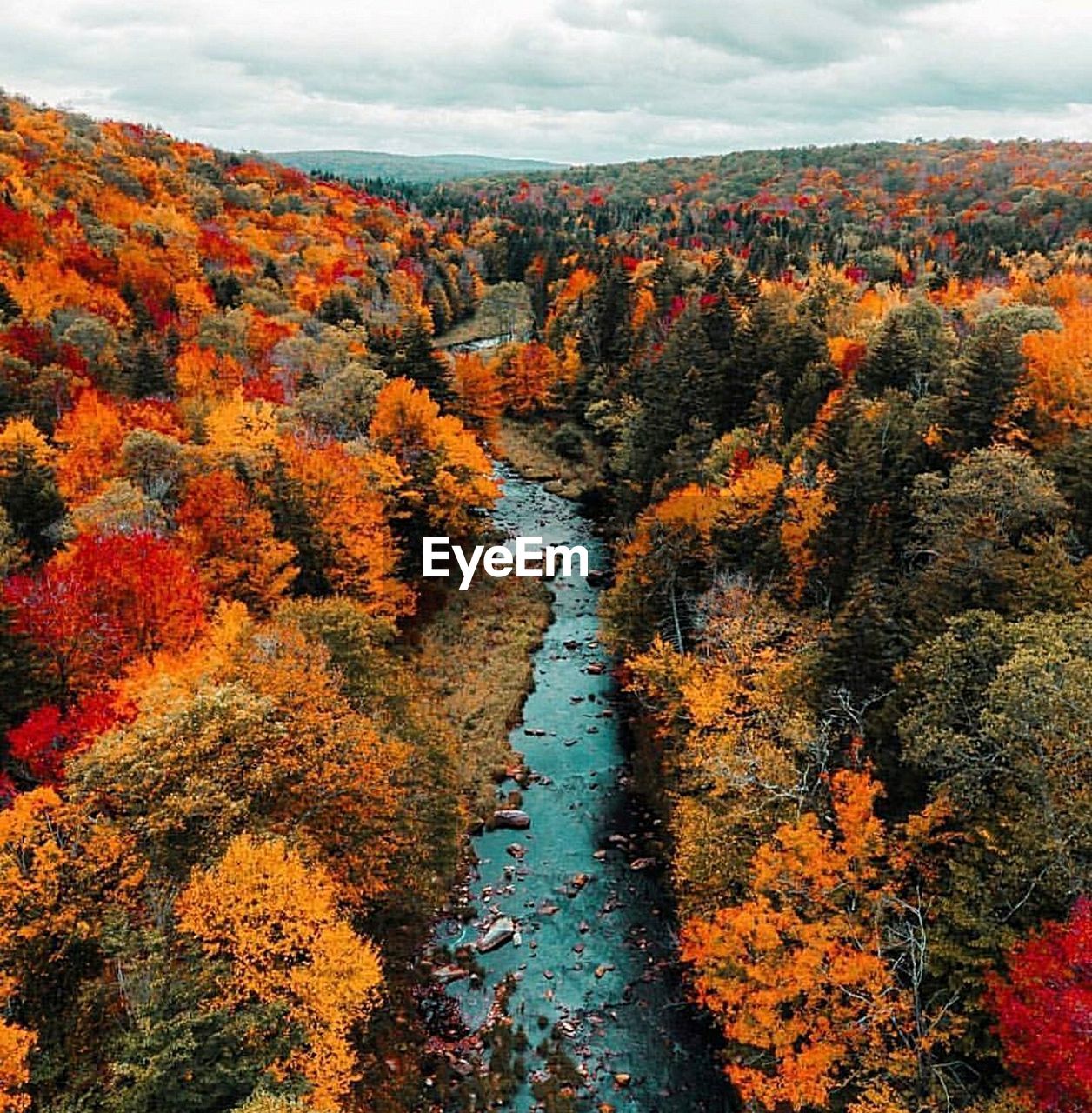 Autumn trees on landscape against sky