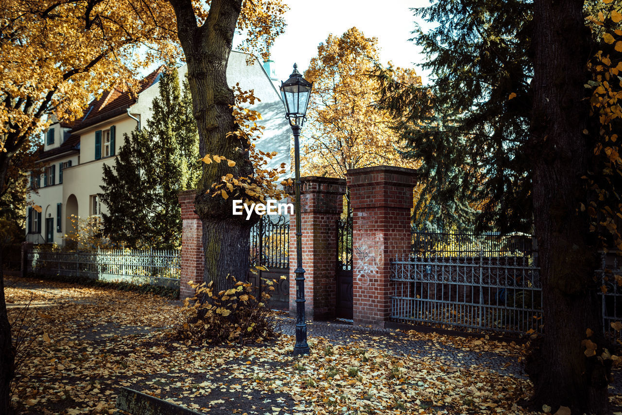 Dry leaves on sidewalk by houses in city