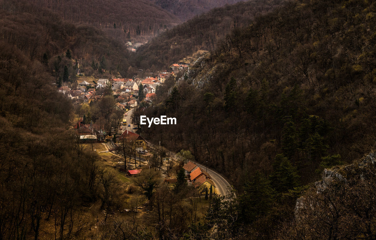 High angle view of trees and buildings in town