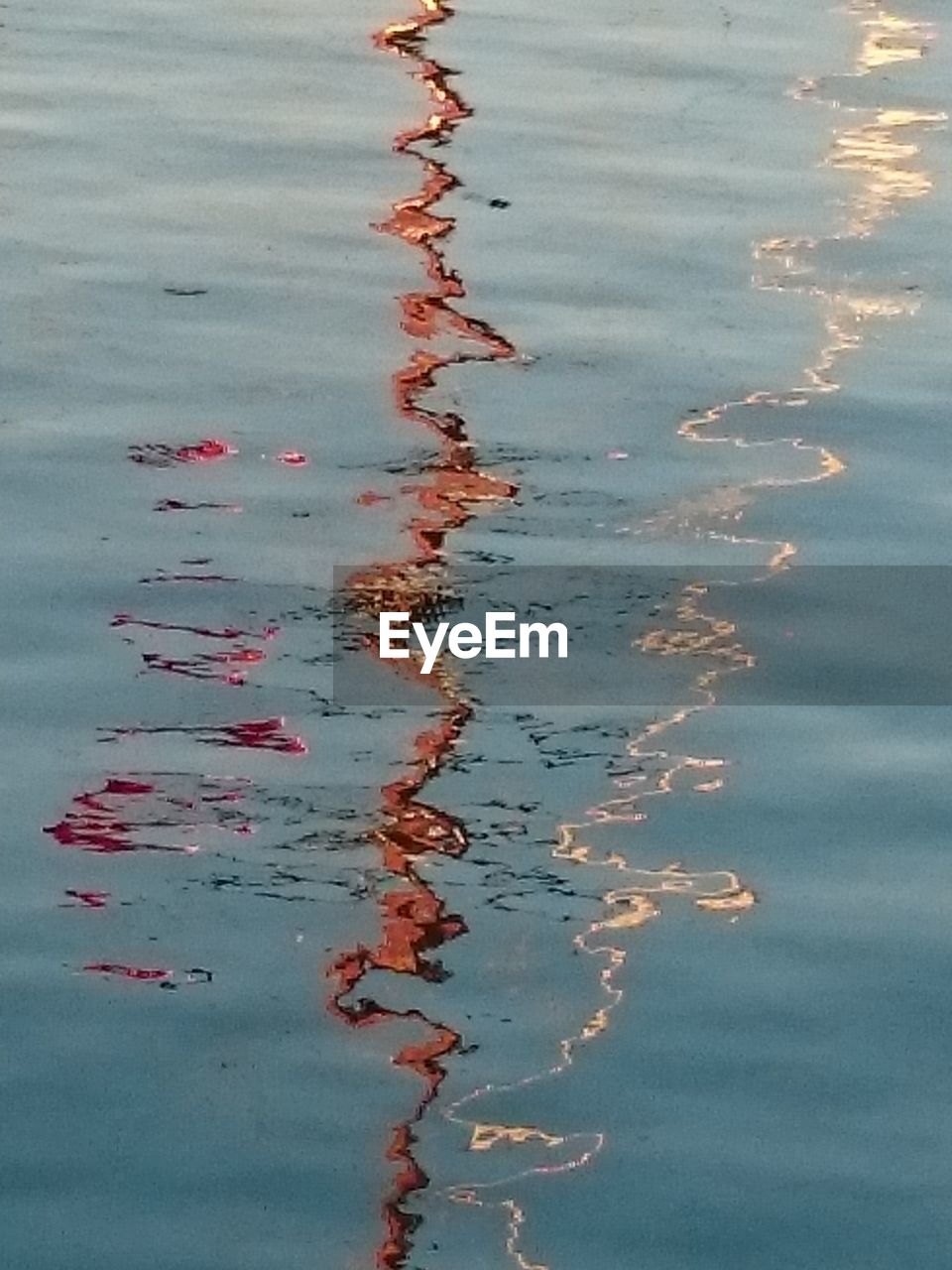 HIGH ANGLE VIEW OF LEAF IN LAKE