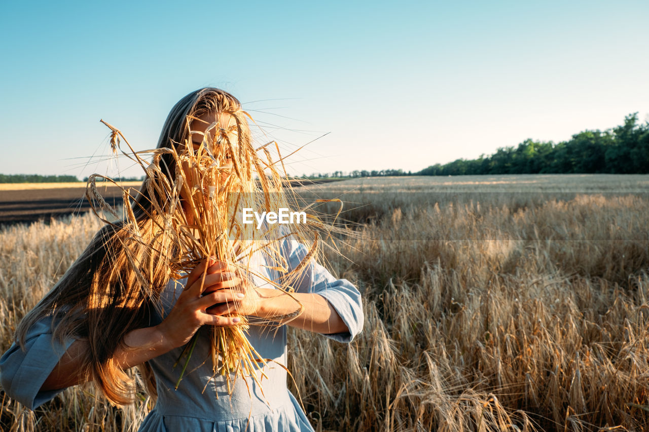 Ukrainian young woman holding wheat crop on field during sunny day. faceless portrait of