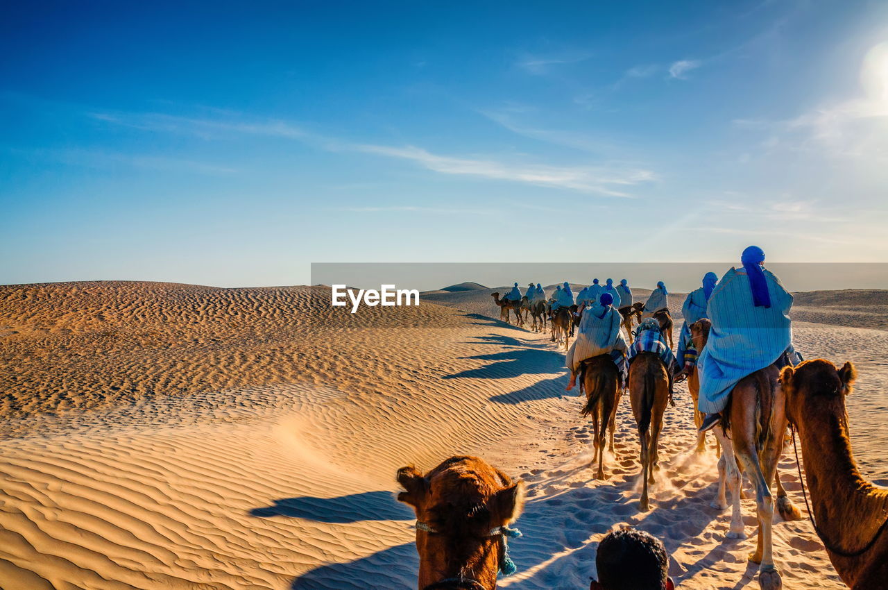 Rear view of people riding camels at desert