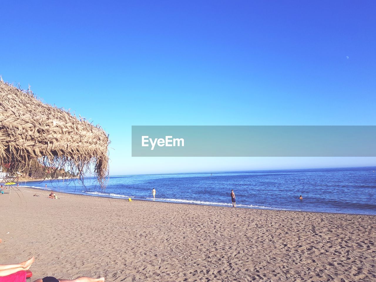 SCENIC VIEW OF BEACH AGAINST CLEAR SKY