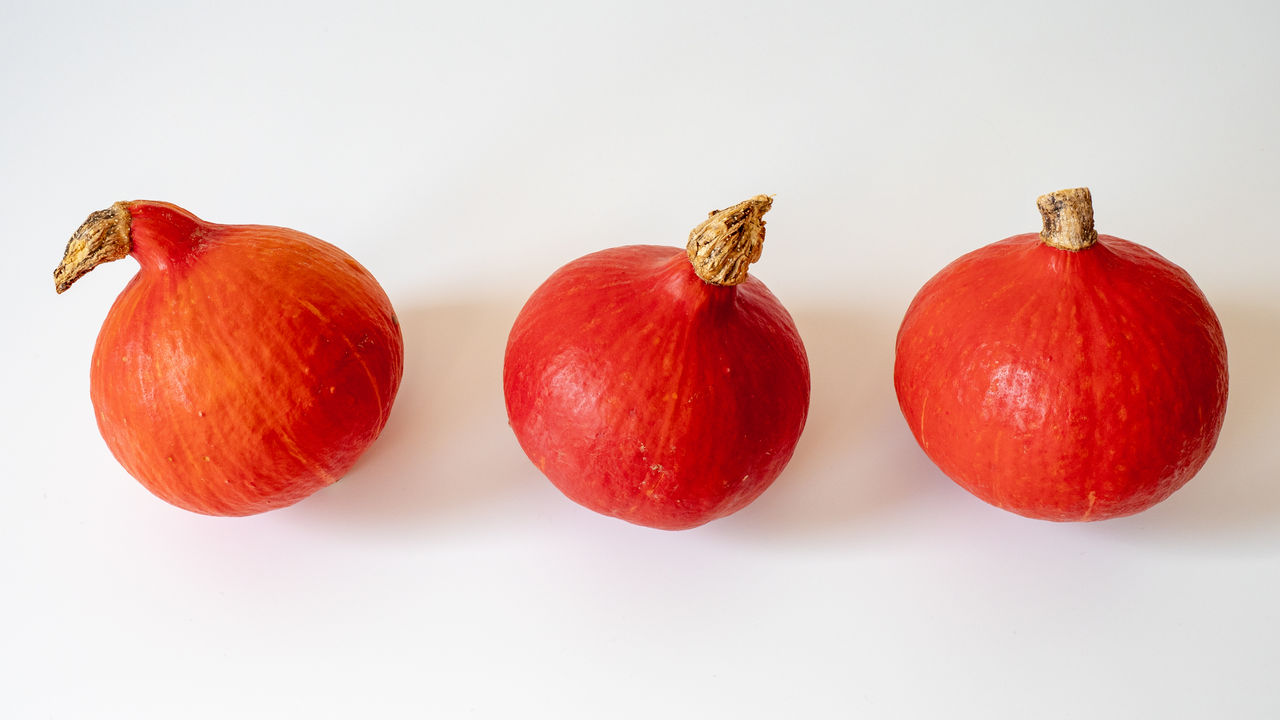 Row of pumpkins against white background