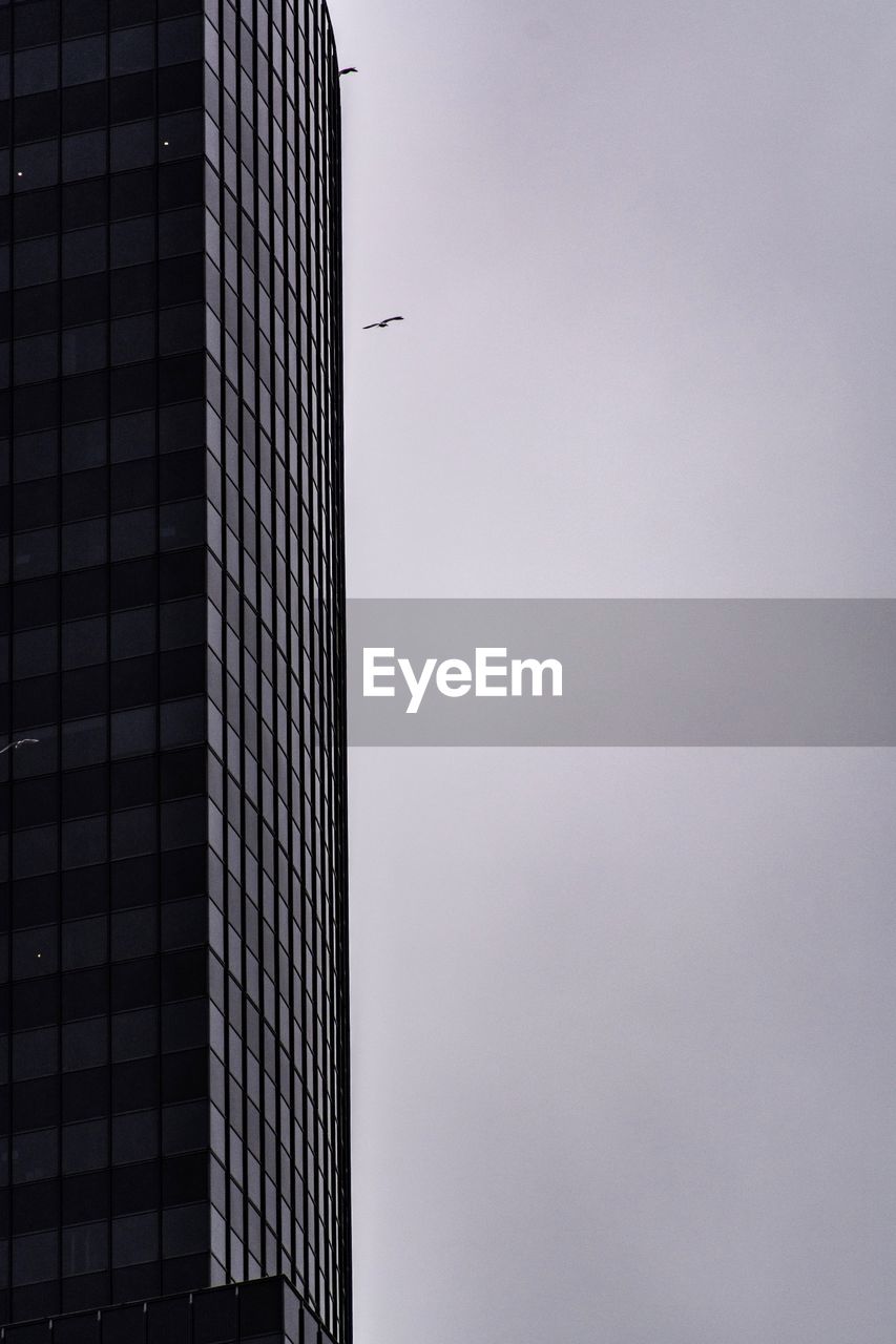 LOW ANGLE VIEW OF MODERN BUILDINGS AGAINST SKY