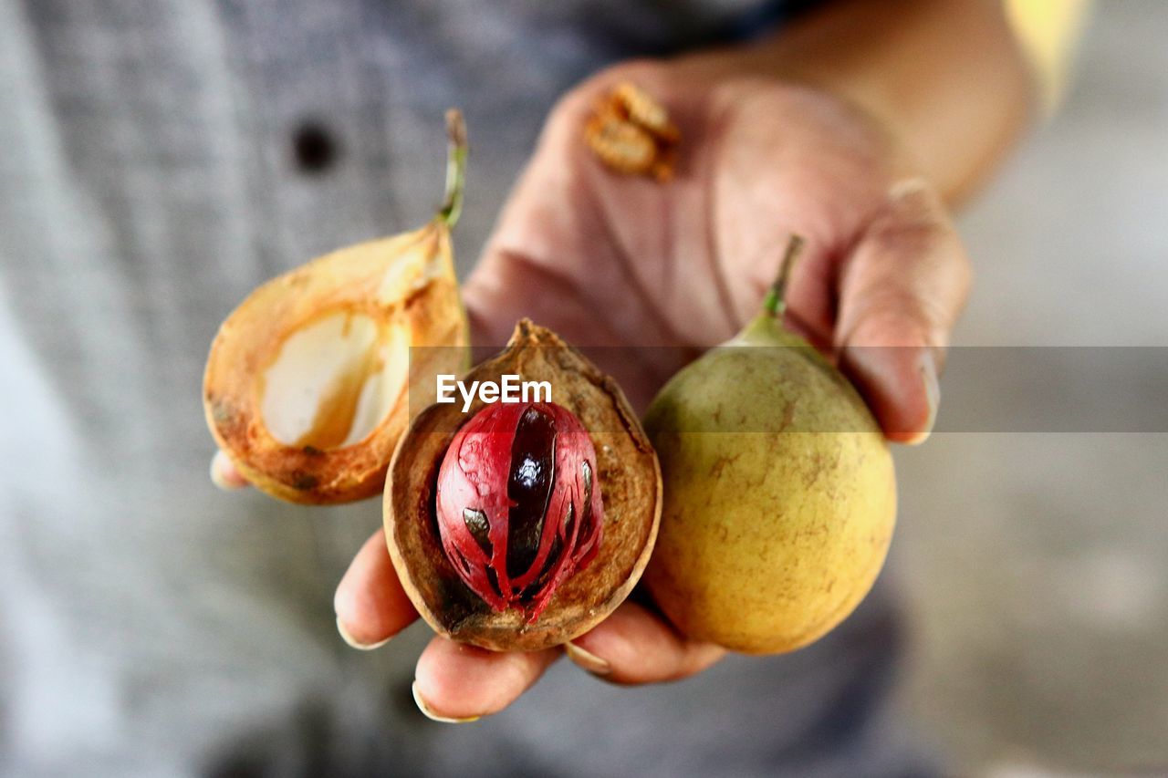 hand, food and drink, food, fruit, one person, healthy eating, holding, flower, freshness, wellbeing, produce, yellow, close-up, macro photography, plant, focus on foreground, adult, organic, day, outdoors, nature, lifestyles, leaf