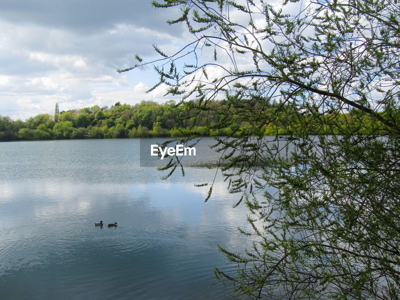 SCENIC VIEW OF LAKE