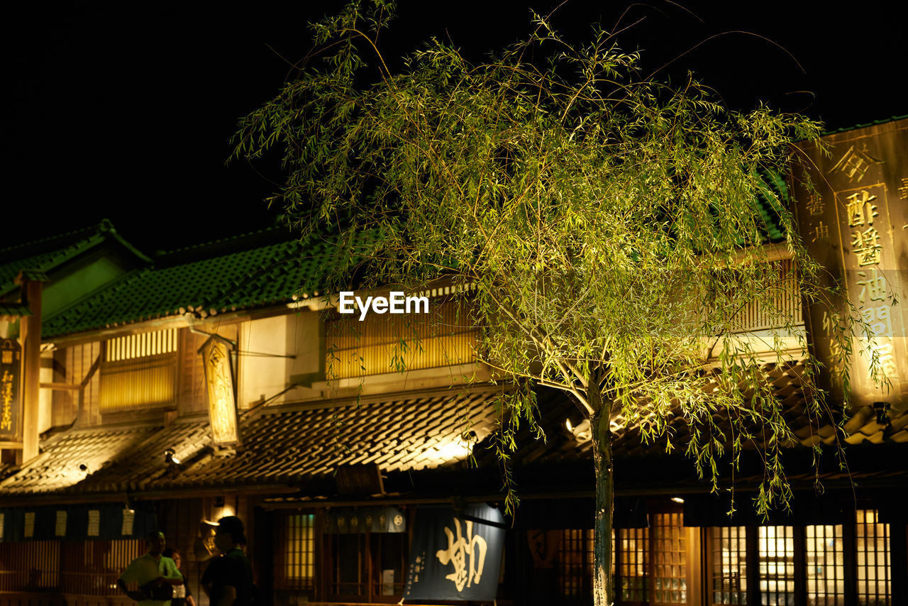 ILLUMINATED TREES AGAINST BUILDING AT NIGHT