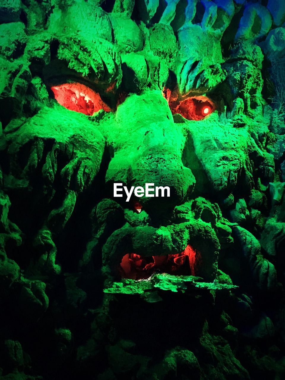 CLOSE-UP OF RED TURTLE IN WATER AT NIGHT