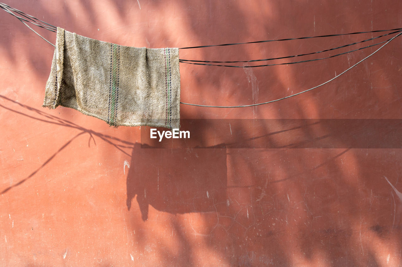 Close-up of spider web