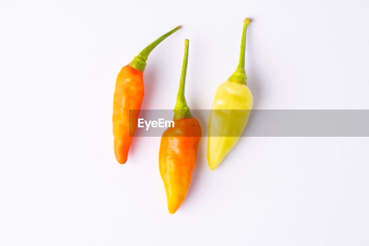 CLOSE-UP OF CHILI PEPPER OVER WHITE BACKGROUND