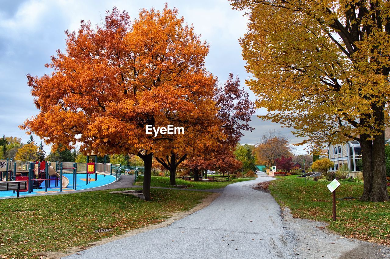 Road amidst trees in park during autumn