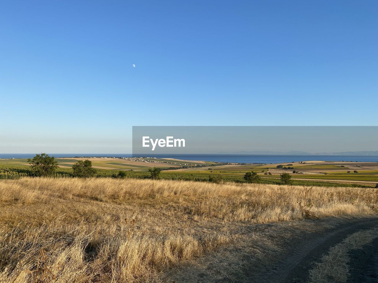 horizon, sky, landscape, land, scenics - nature, plant, tranquility, environment, nature, beauty in nature, tranquil scene, natural environment, plain, field, grass, prairie, clear sky, blue, no people, grassland, hill, rural area, steppe, marsh, growth, coast, day, rural scene, non-urban scene, sea, water, copy space, outdoors, moon, agriculture, wetland, idyllic, morning, horizon over land, beach, cloud