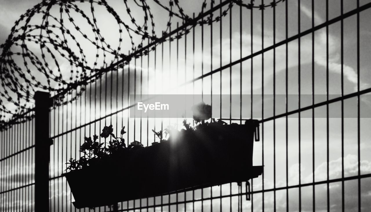 REAR VIEW OF MAN BY FENCE AGAINST SKY