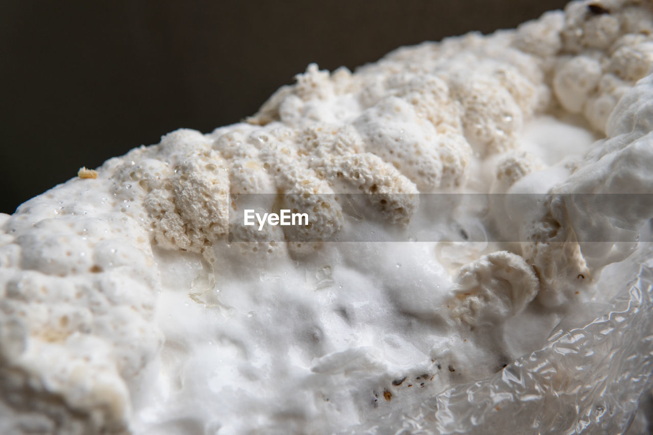 food, icing, powdered sugar, white, dairy, dish, whipped cream, no people, baked, close-up, dessert, indoors, food and drink, nature, mineral, ice cream, pavlova