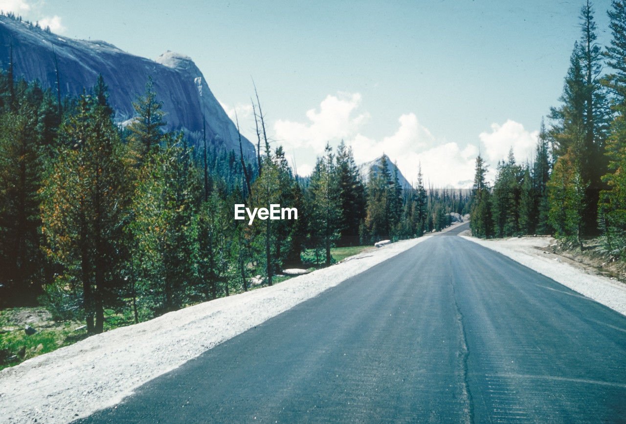 empty road amidst trees against sky