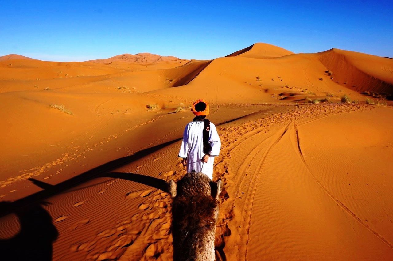 Rear view of a man in desert