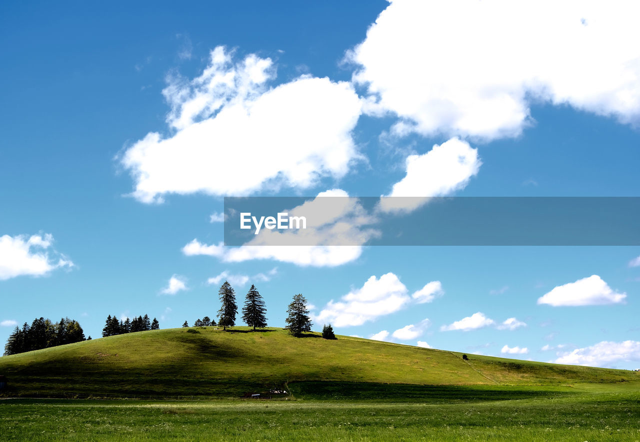 Scenic view of golf course against sky