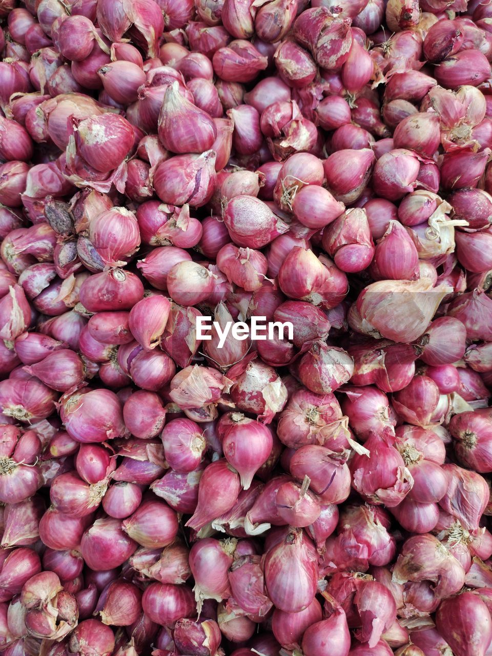 Close up view of onion