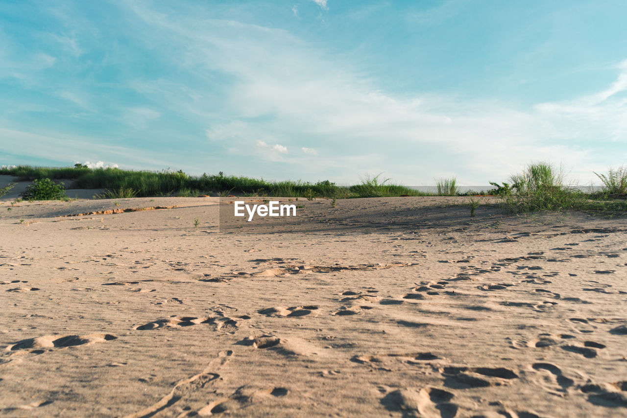 Scenic view of beach against sky