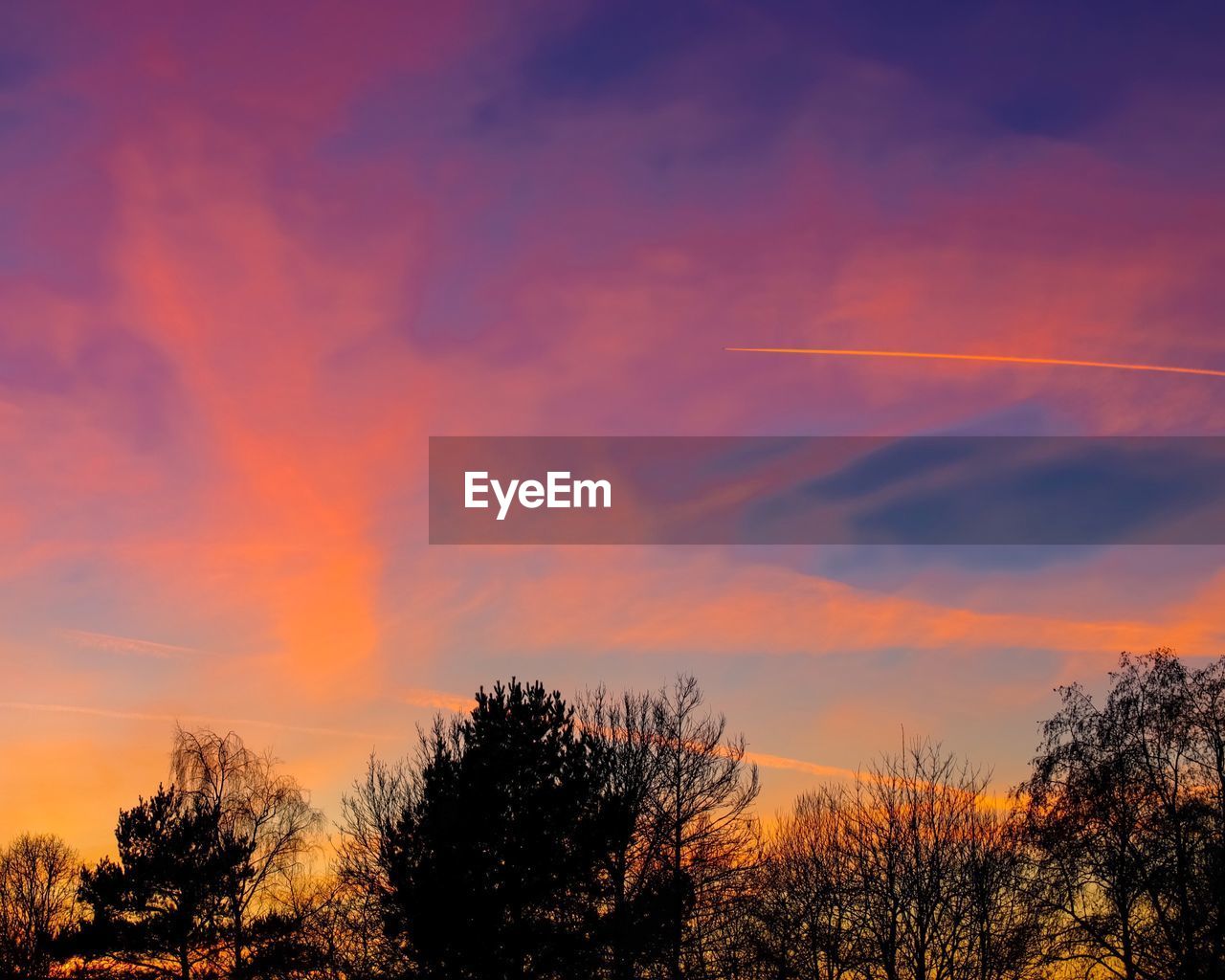 Low angle view of silhouette trees against sky during sunset