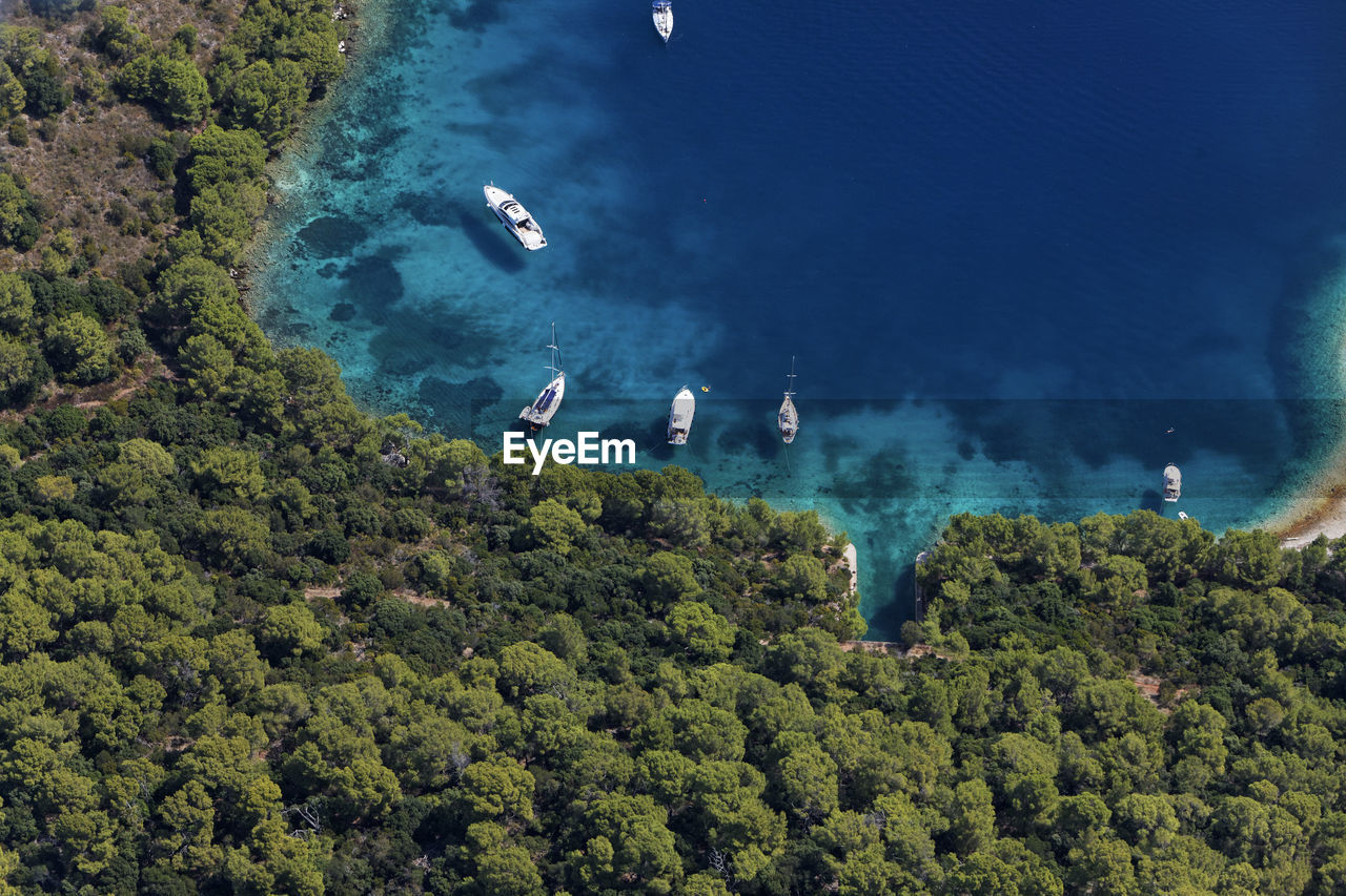 High angle view of sea and trees