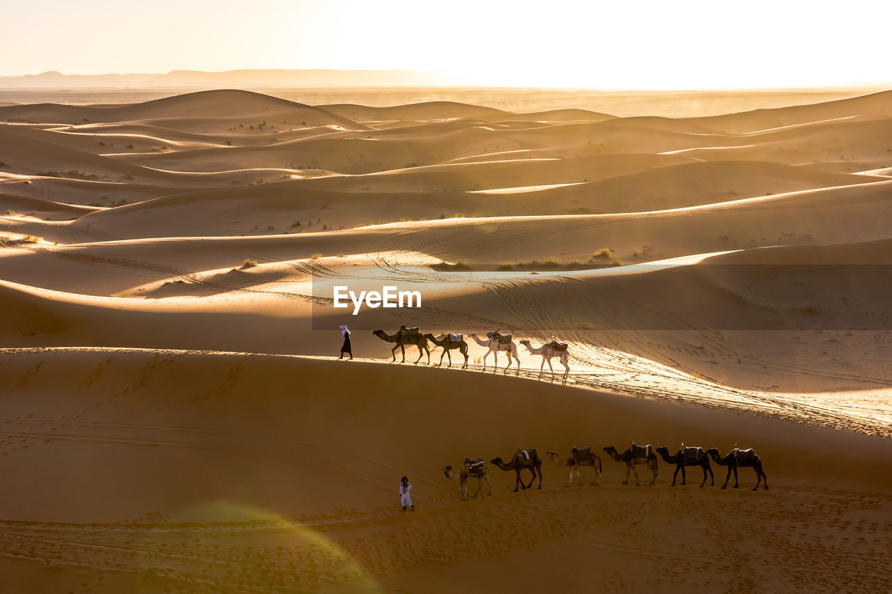 Group of people on sand dune