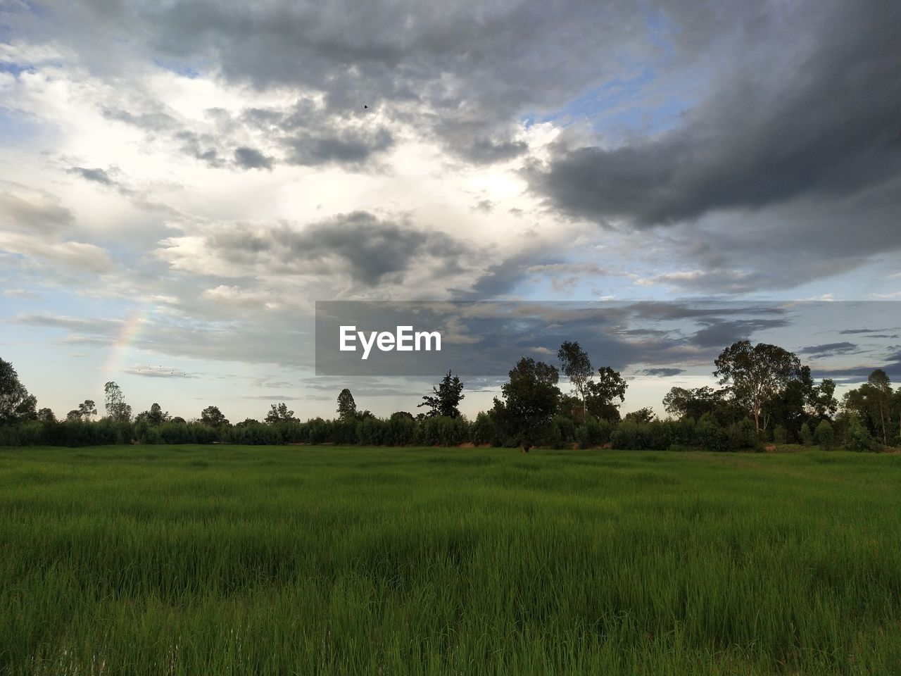 SCENIC VIEW OF FARM AGAINST SKY