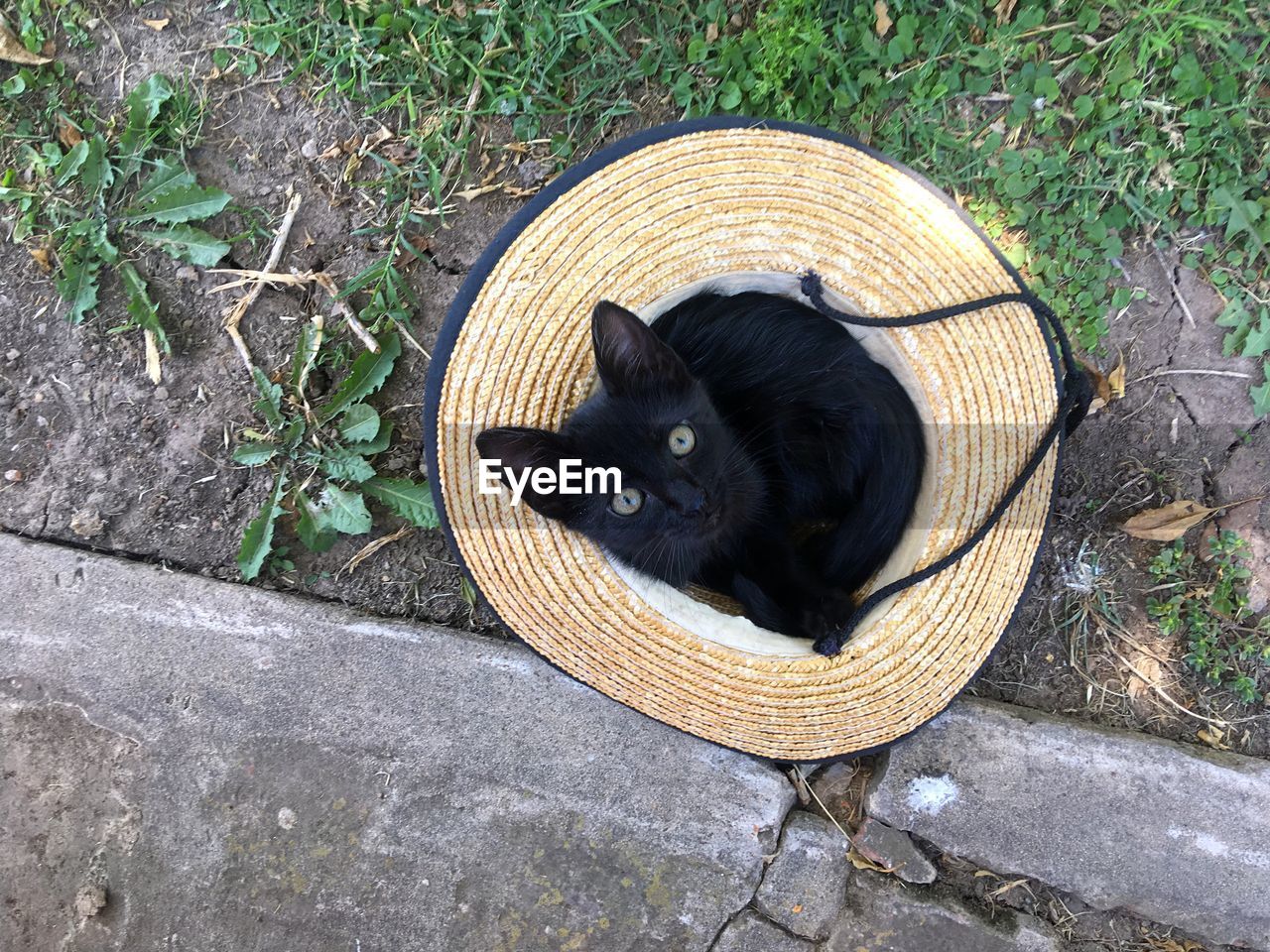 HIGH ANGLE VIEW OF BLACK CAT SITTING ON STONE