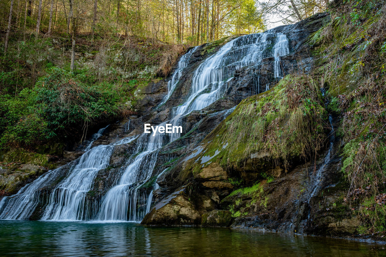 Scenic view of waterfall in forest