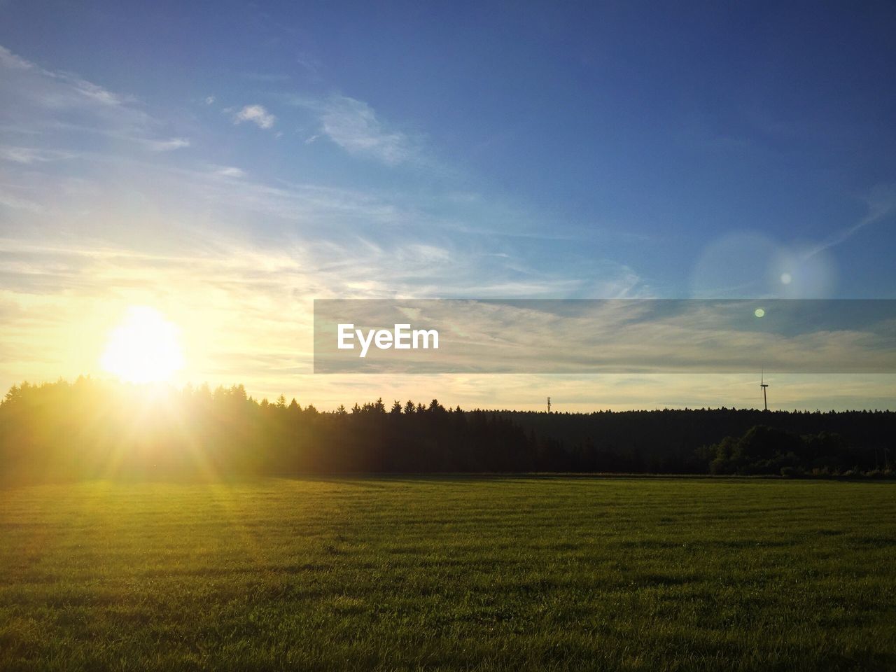 Scenic view of grassy field at sunset