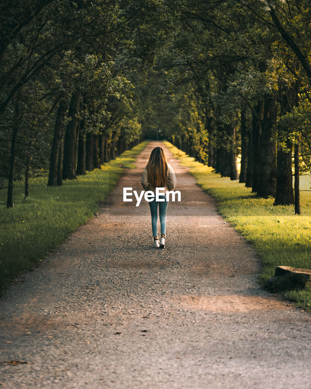 Rear view of woman walking on footpath amidst trees