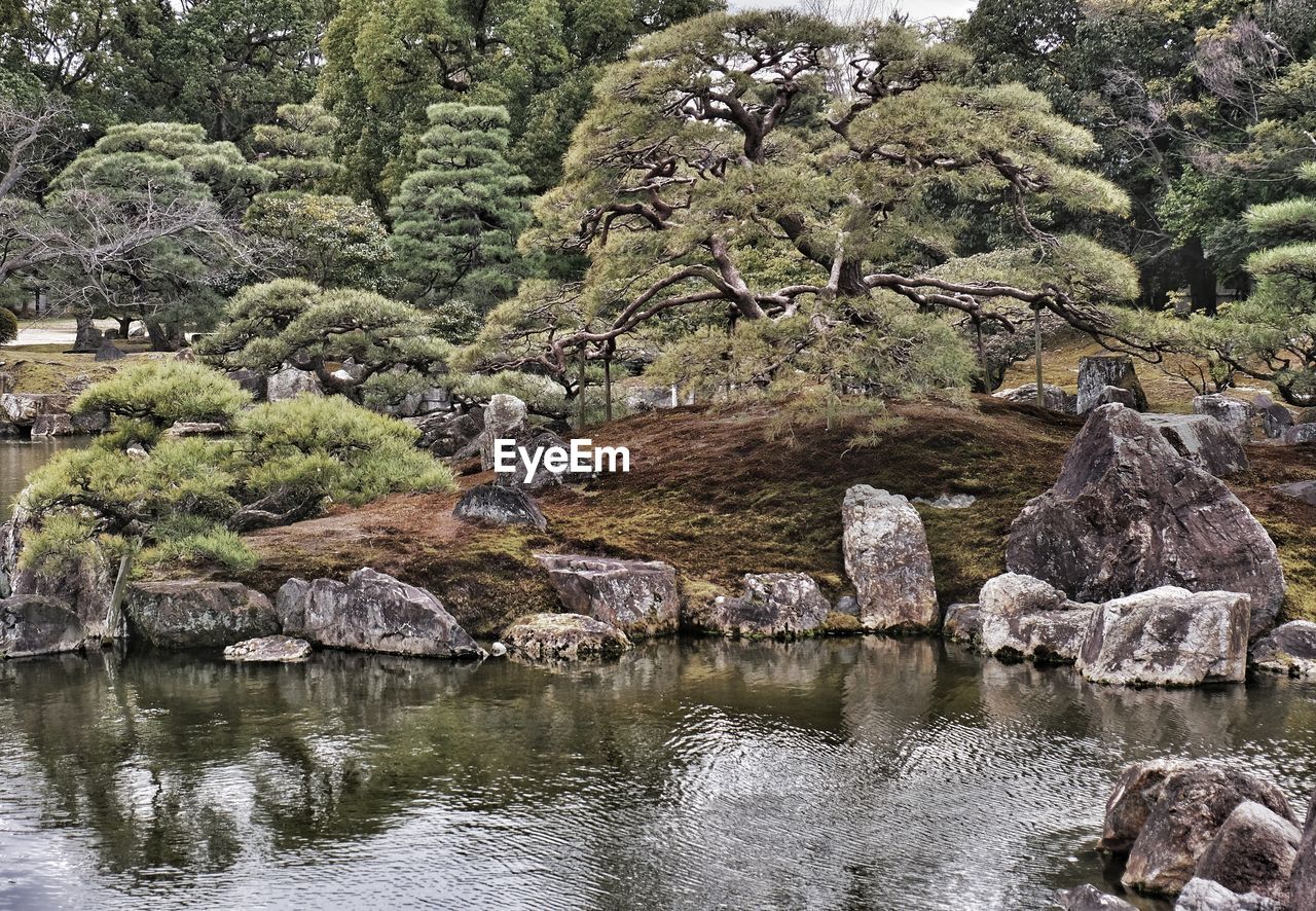 SCENIC VIEW OF TREES AND REFLECTION
