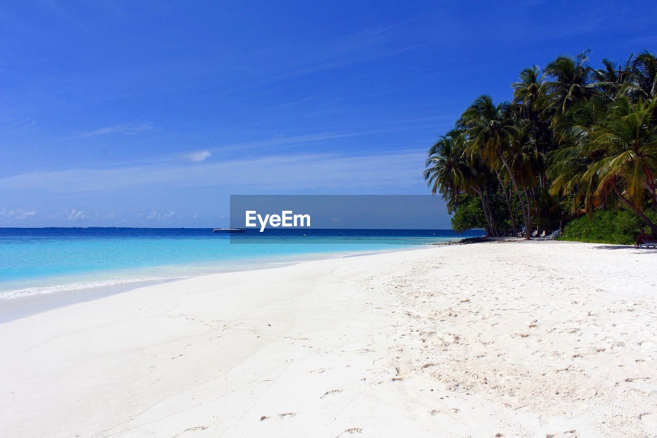 Scenic view of beach against blue sky