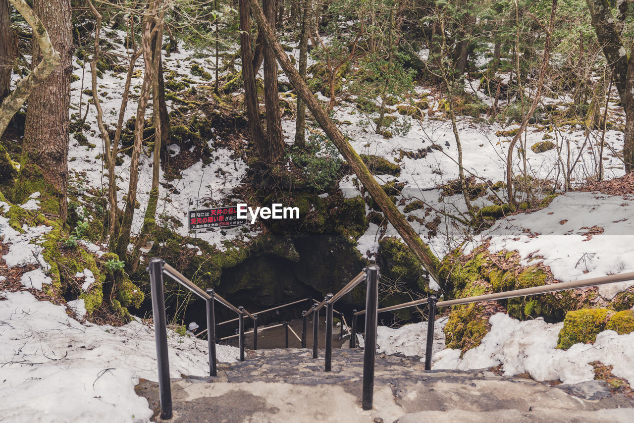 Entrance of a cave