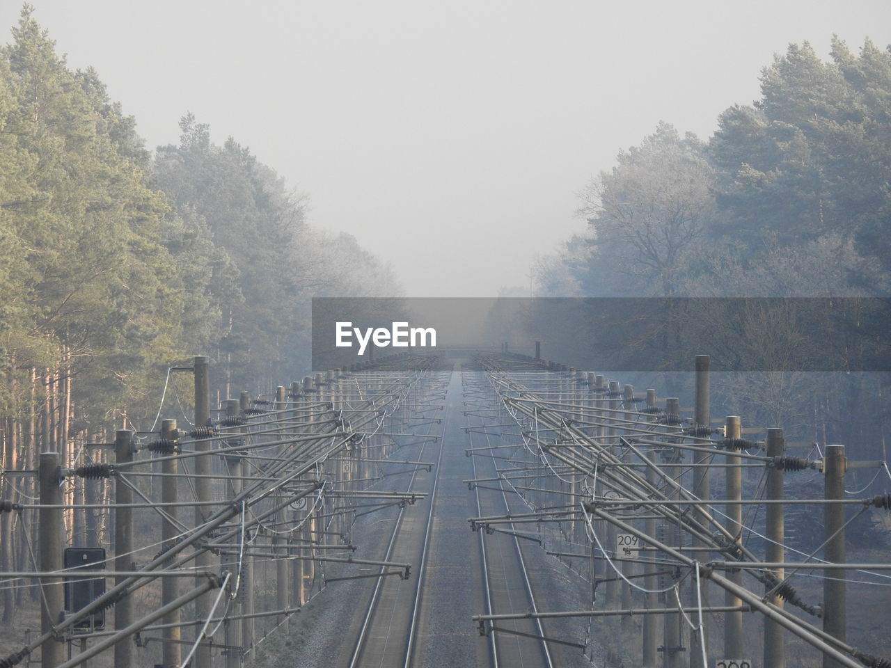 Railroad tracks amidst trees against sky