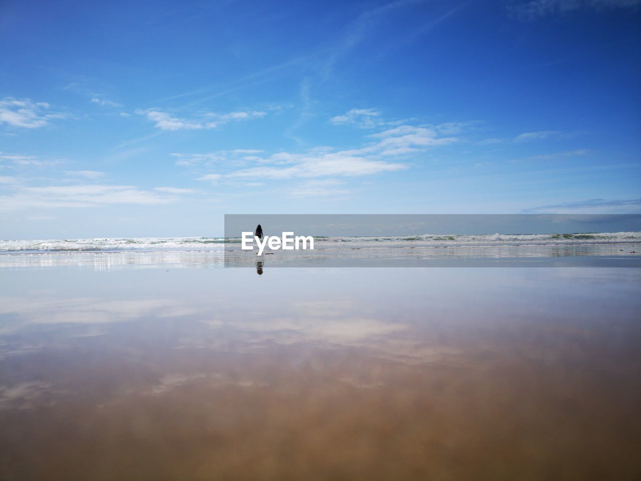 SCENIC VIEW OF BEACH AGAINST BLUE SKY