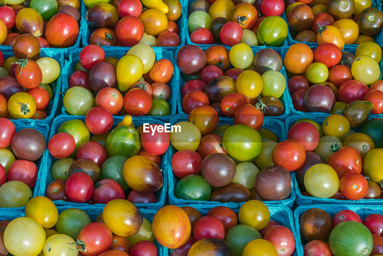 FULL FRAME SHOT OF MULTI COLORED FRUITS FOR SALE