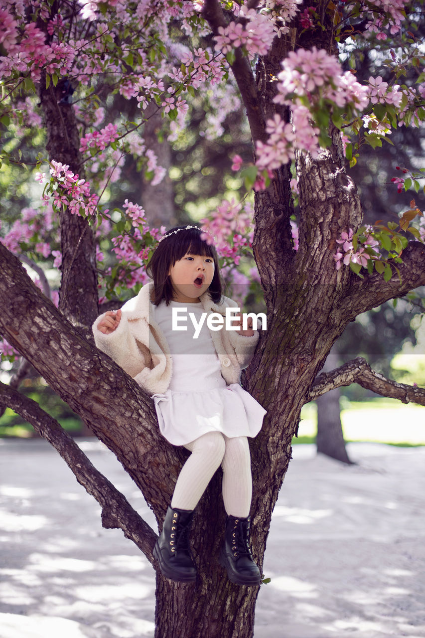 Korean girl in a white light fur coat and a headband sitting on a tree branch in a garden