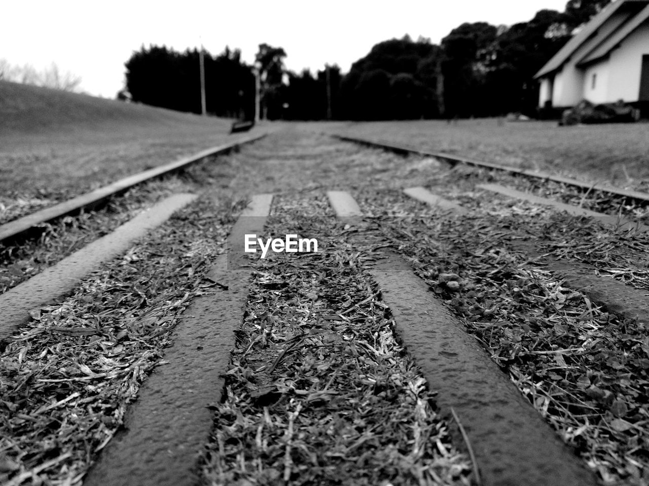 SURFACE LEVEL OF RAILWAY TRACKS ALONG SIDE