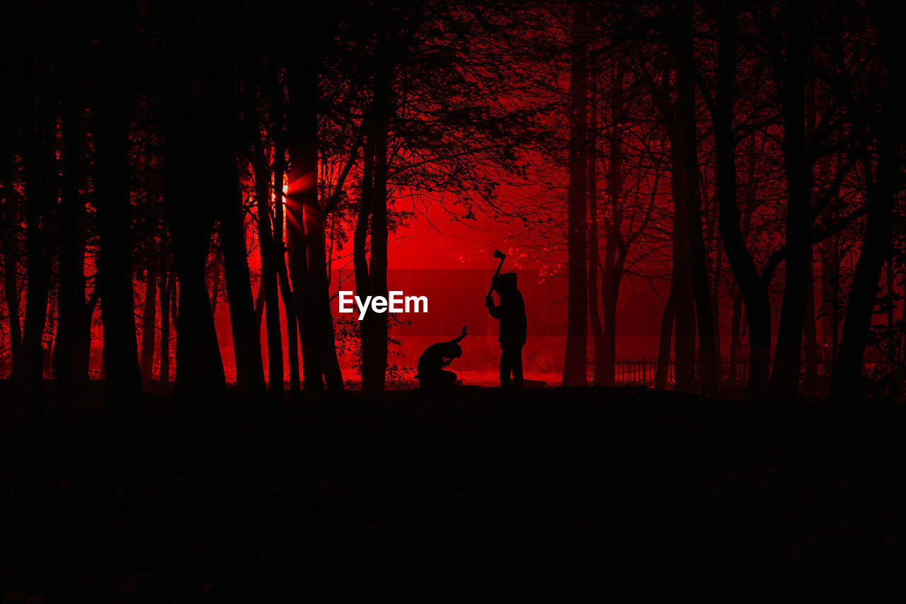 SILHOUETTE MAN STANDING BY TREE IN FOREST