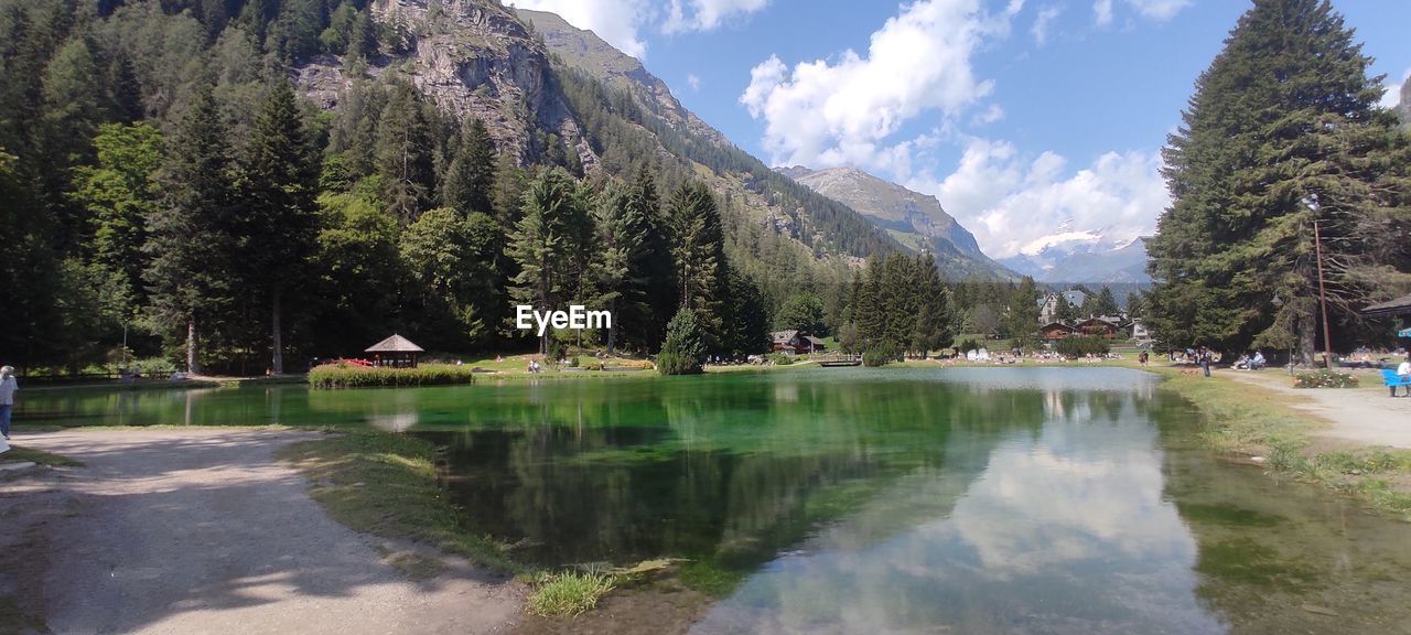 SCENIC VIEW OF LAKE AND TREES AGAINST SKY